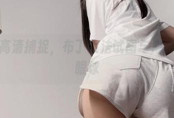 海边高清捕捉，布丁大法试图与海鸥争夺眼球