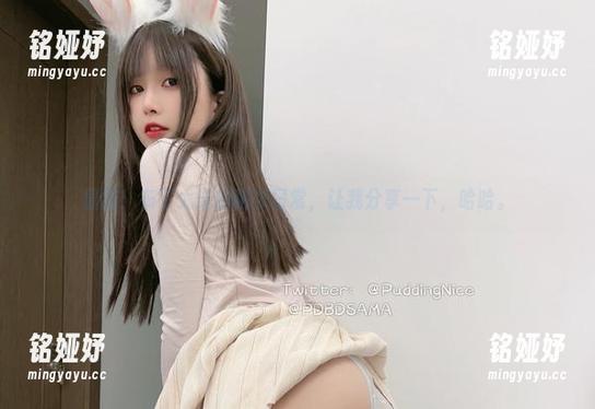 布丁大法 最新!布丁大法的秘书日常,让我分享一下,哈哈。